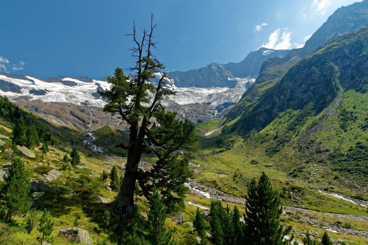 Appartements St. Leonhard Aschau Im Zillertal Εξωτερικό φωτογραφία
