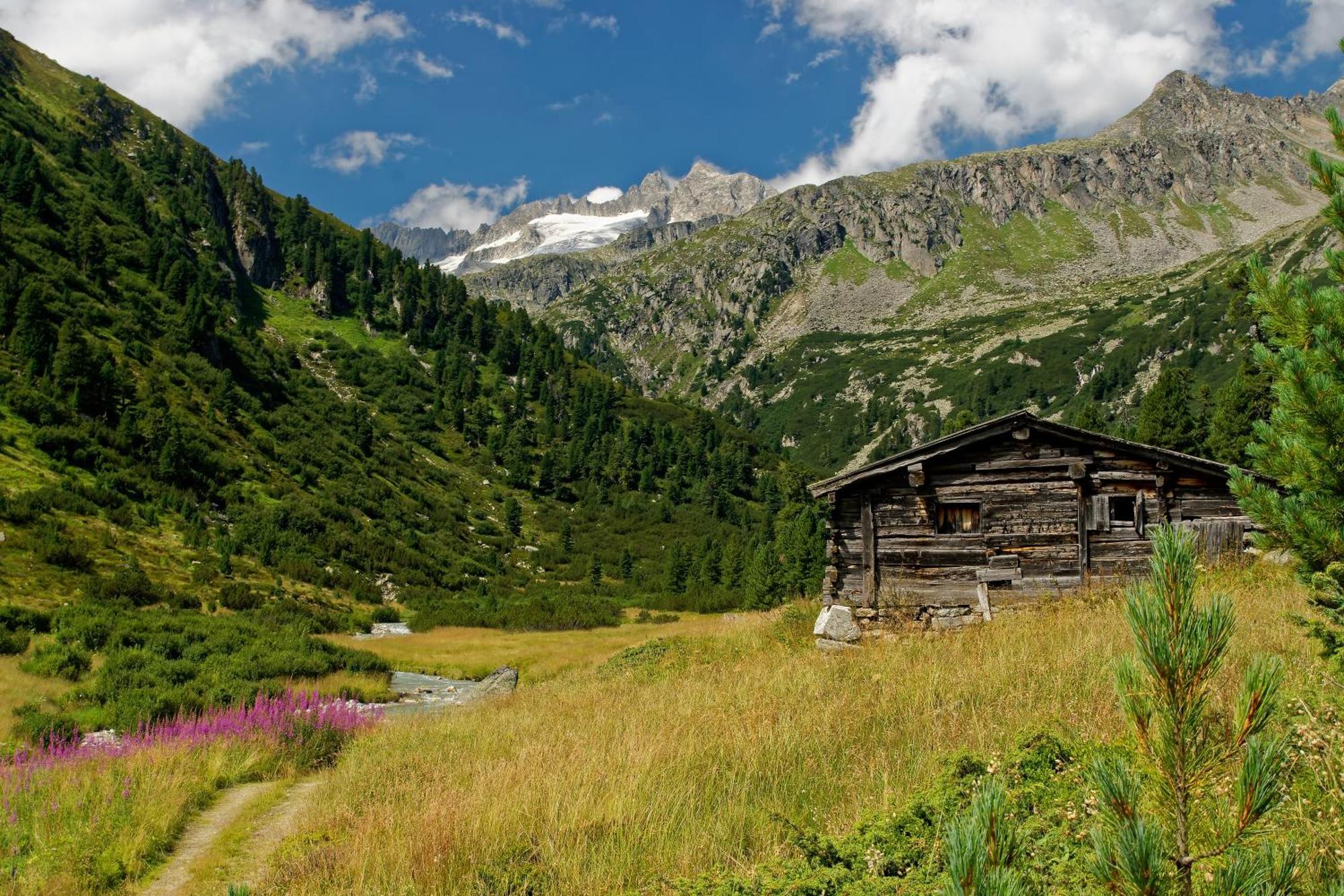 Appartements St. Leonhard Aschau Im Zillertal Εξωτερικό φωτογραφία