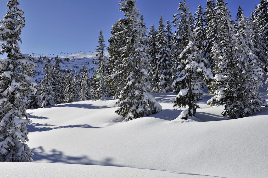 Appartements St. Leonhard Aschau Im Zillertal Εξωτερικό φωτογραφία