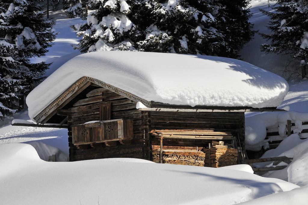 Appartements St. Leonhard Aschau Im Zillertal Εξωτερικό φωτογραφία